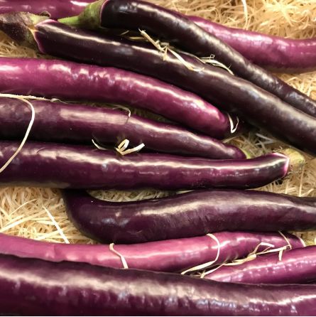 Aubergines Longues de Chine - 1pc ±200g